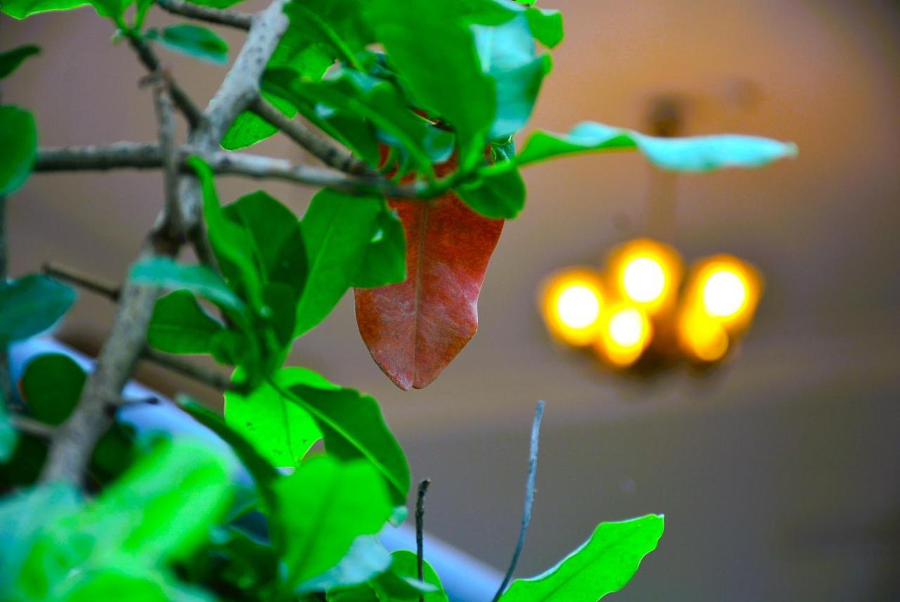 Yellow Homestay - Modern 2Bhk Ac Stay Jabalpur Esterno foto